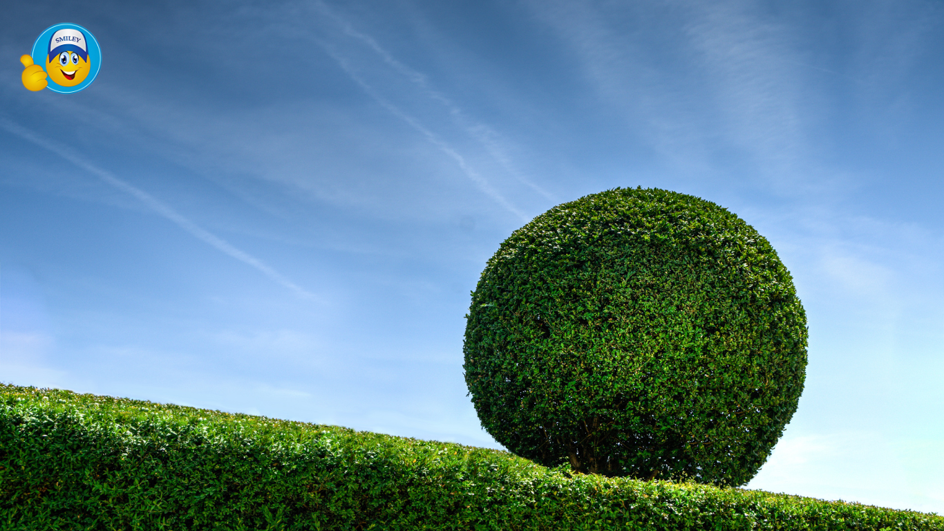 Topiary Balls