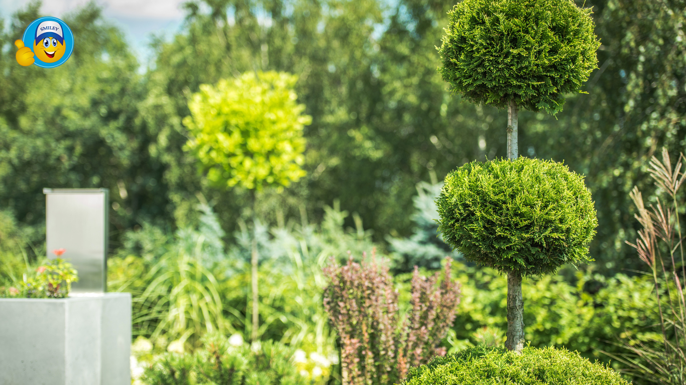 Topiary Balls