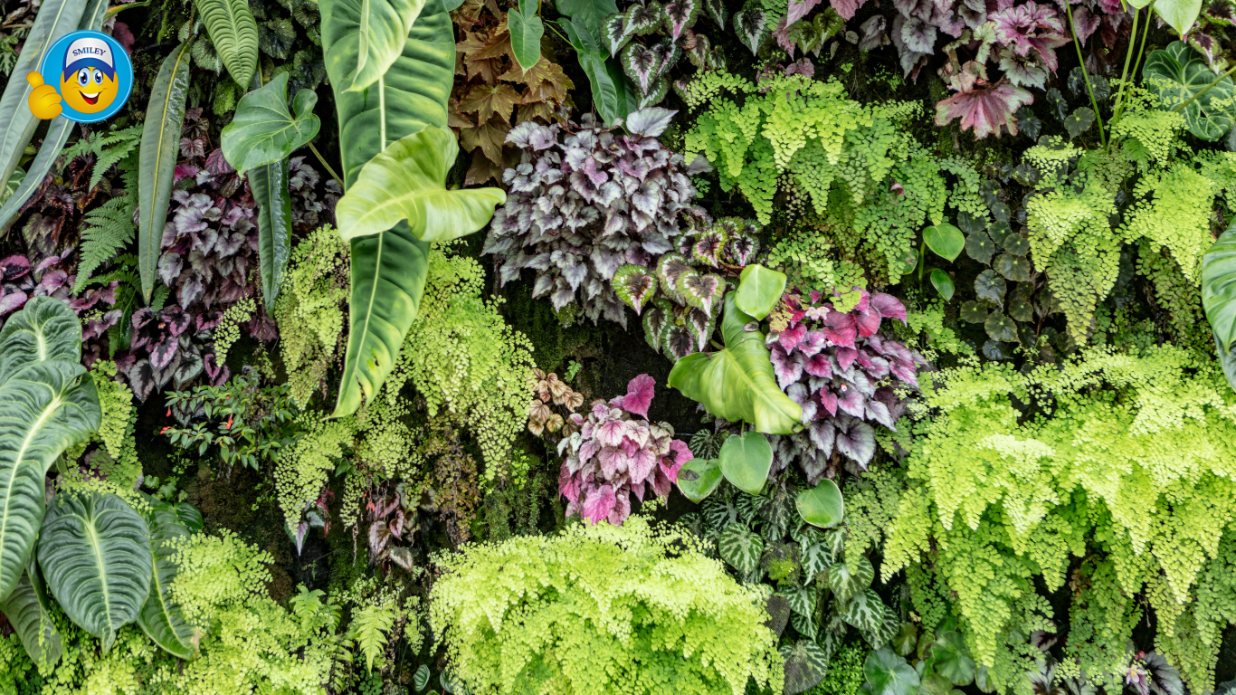 Vertical Gardens