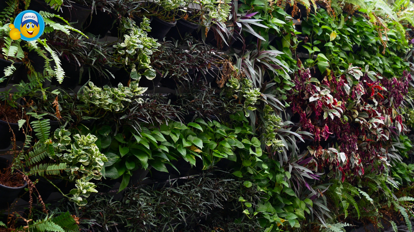 Vertical Garden