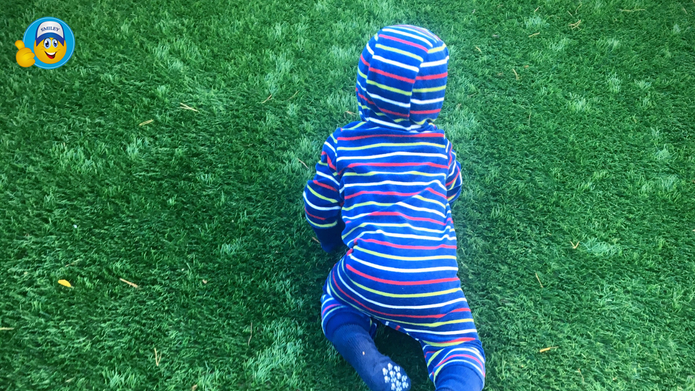 Artificial Grass