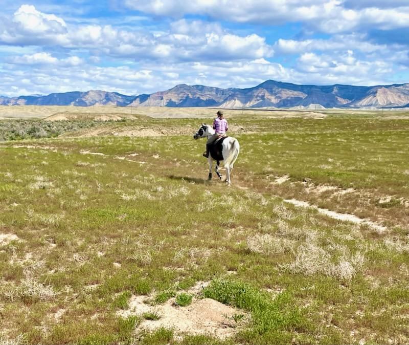 A person is riding a horse in a field with mountains in the background.