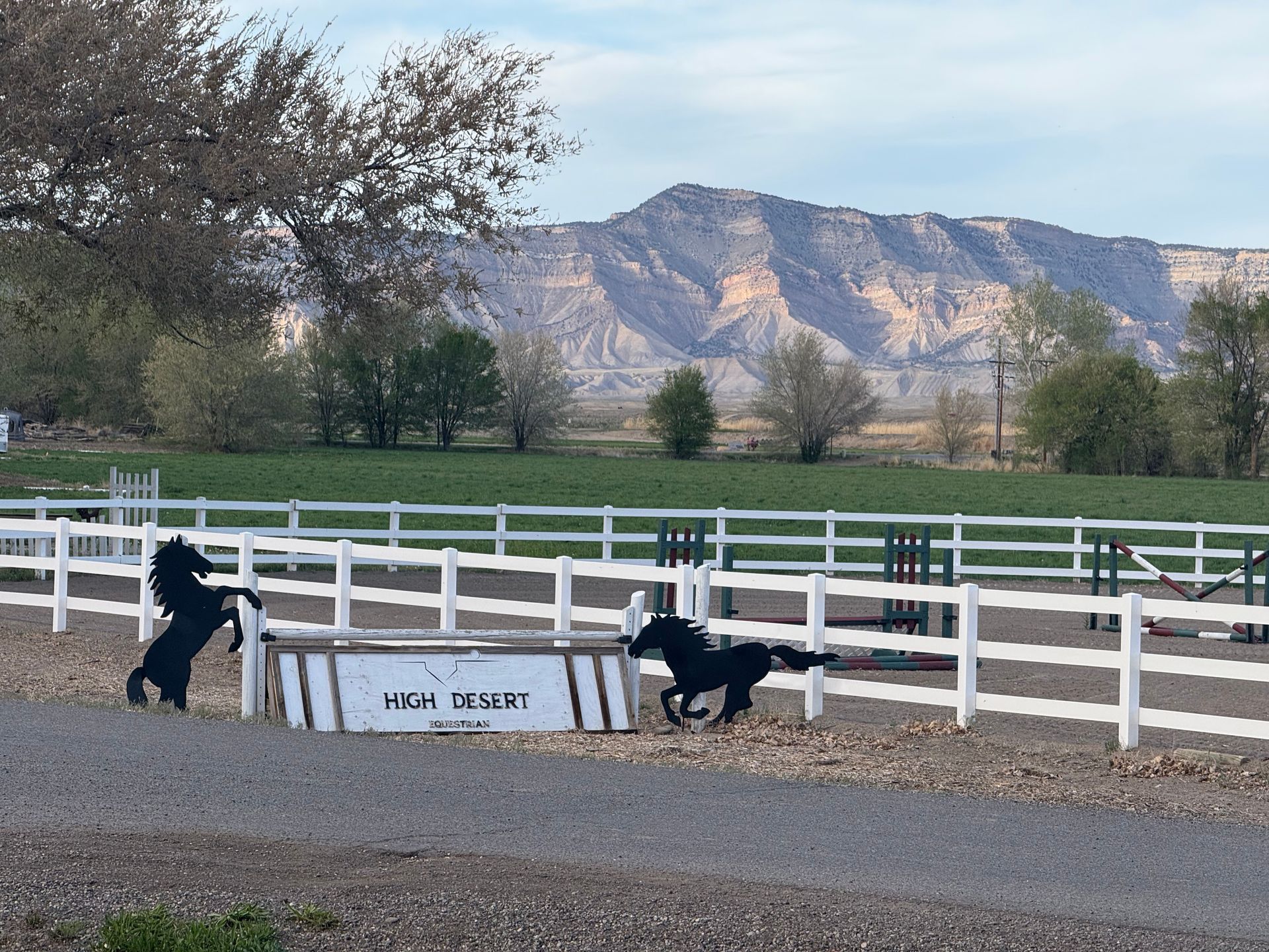 Two horses in a fenced in area with mountains in the background