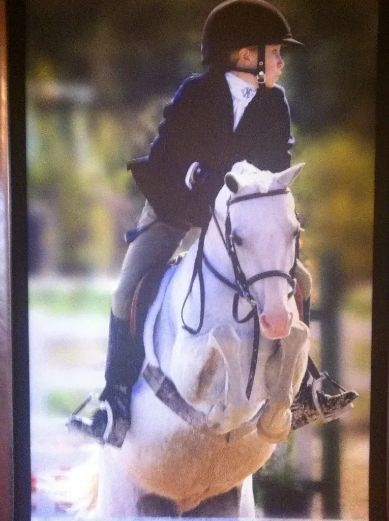 A person is riding a white horse over a jump.