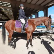 A woman is riding a brown horse with a purple saddle