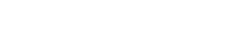 Marlborough Lights, New Zealand fashion photographer logo