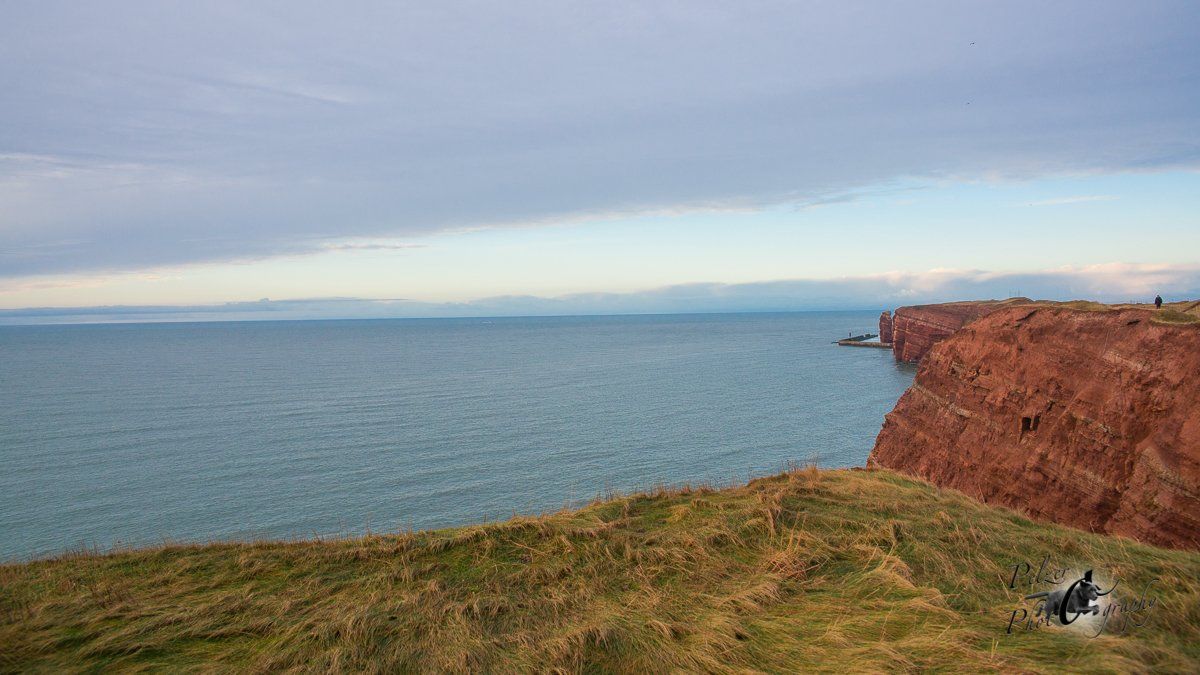Helgoland - Vogelfelsen