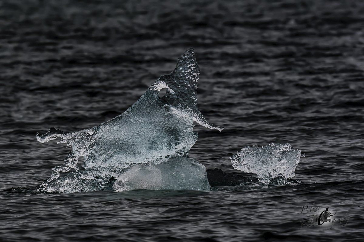 Prince Williams Sound