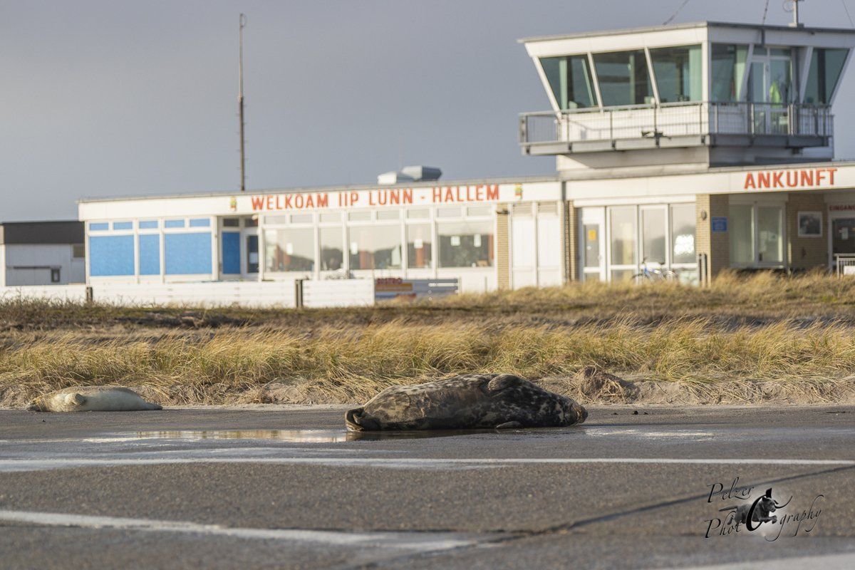 Helgoland Flughafen
