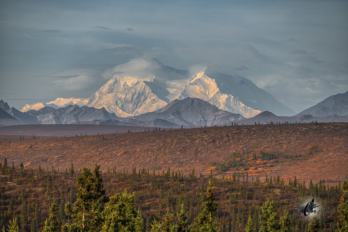 Mount Denali
