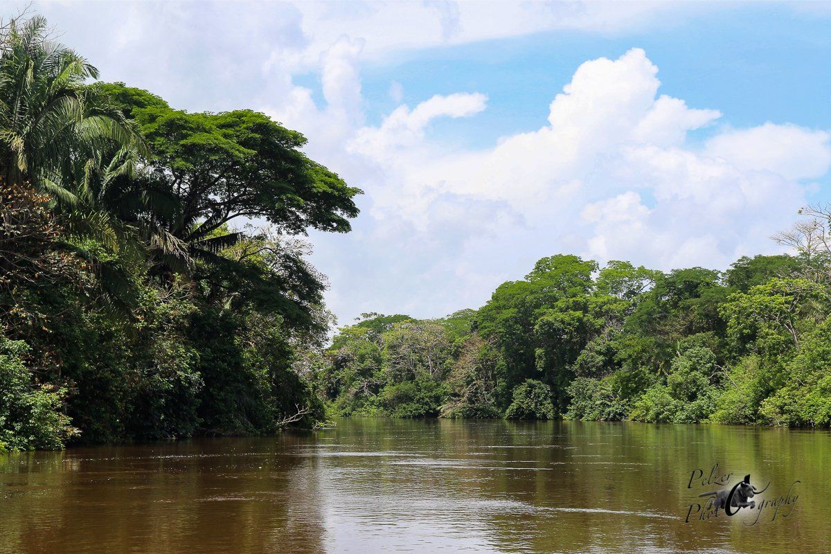 Tortuguero Nationalpark