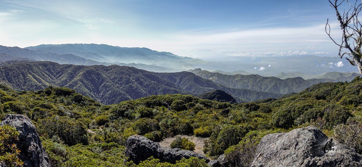 Cordillera de Talamanca