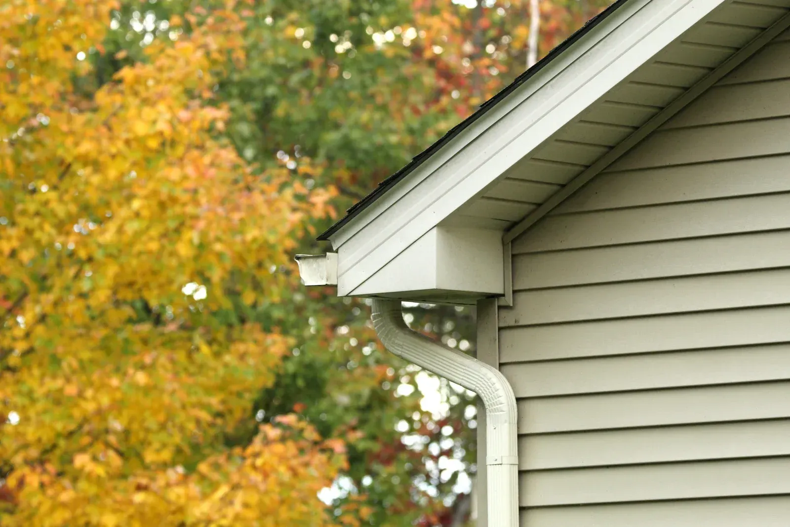 A gutter on the side of a house with trees in the background.