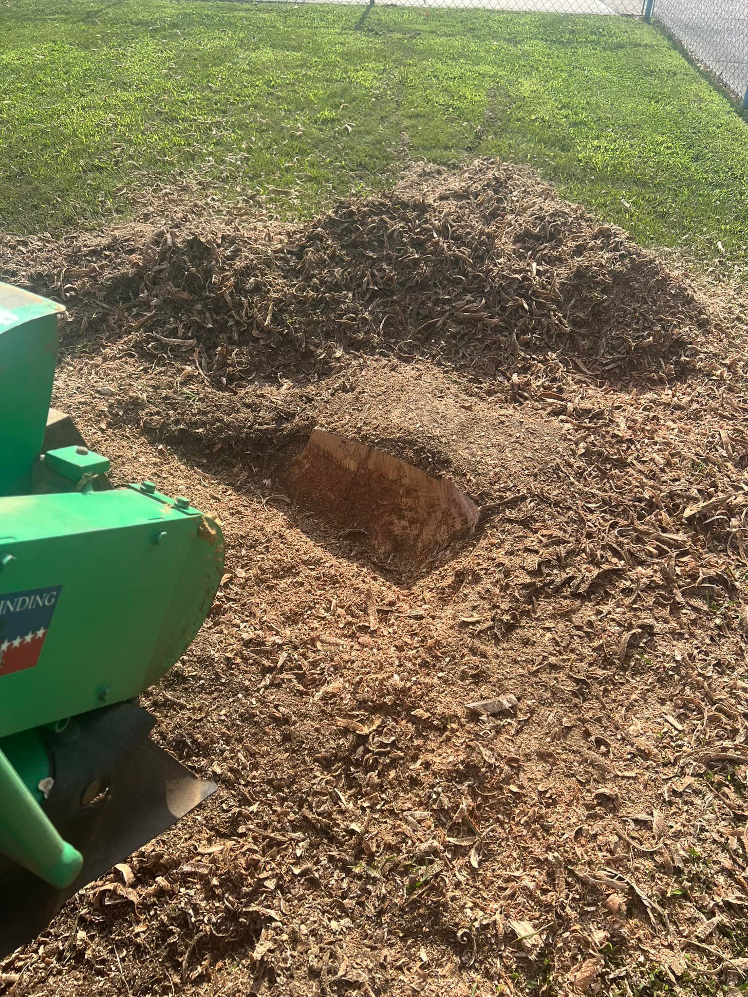 A green machine is stump grinding a tree stump in a yard