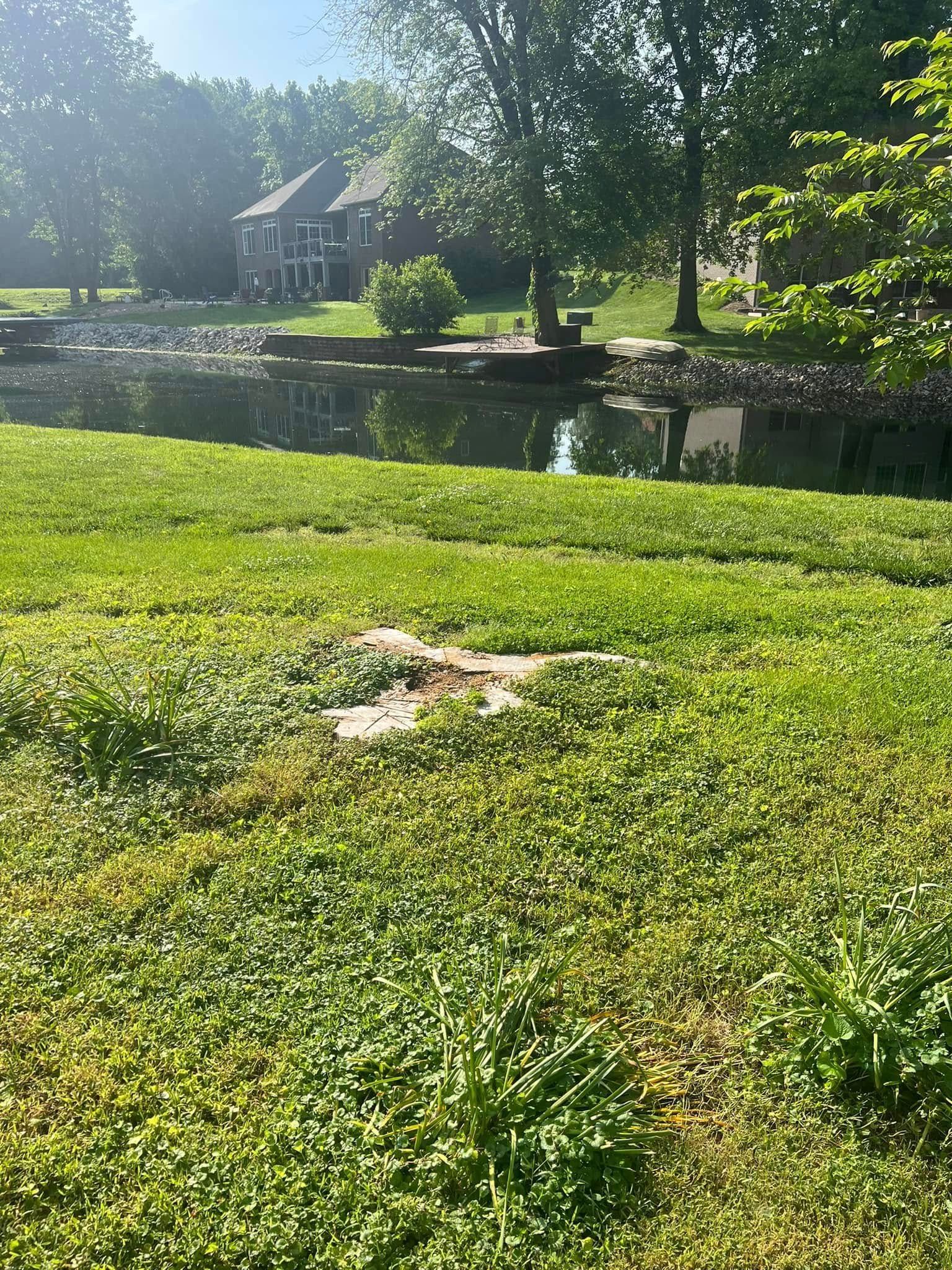 A lush green field with a pond in the background and a house in the background