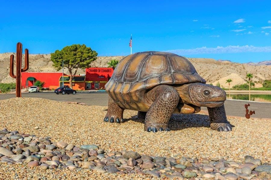 A statue of a turtle standing on top of a pile of rocks.