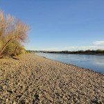 A sandy beach next to a river with trees on the shore.
