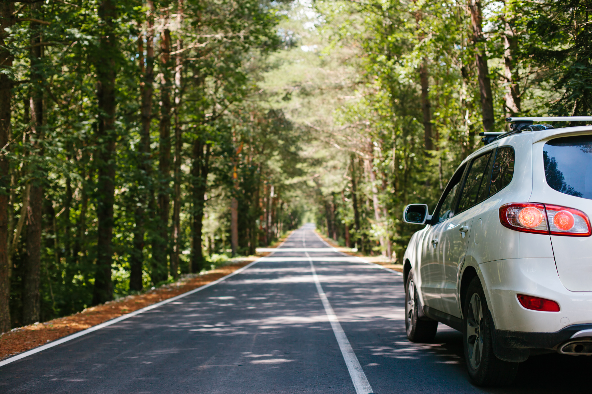 A white suv is parked on the side of a forest road.