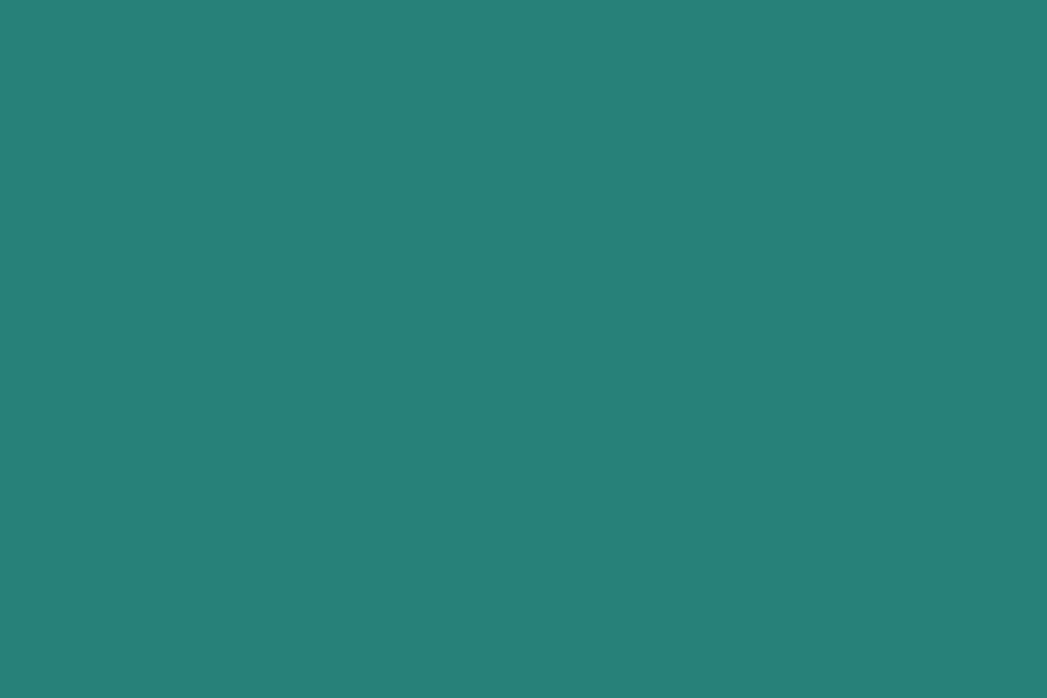 Um close de um fundo verde sem textura.