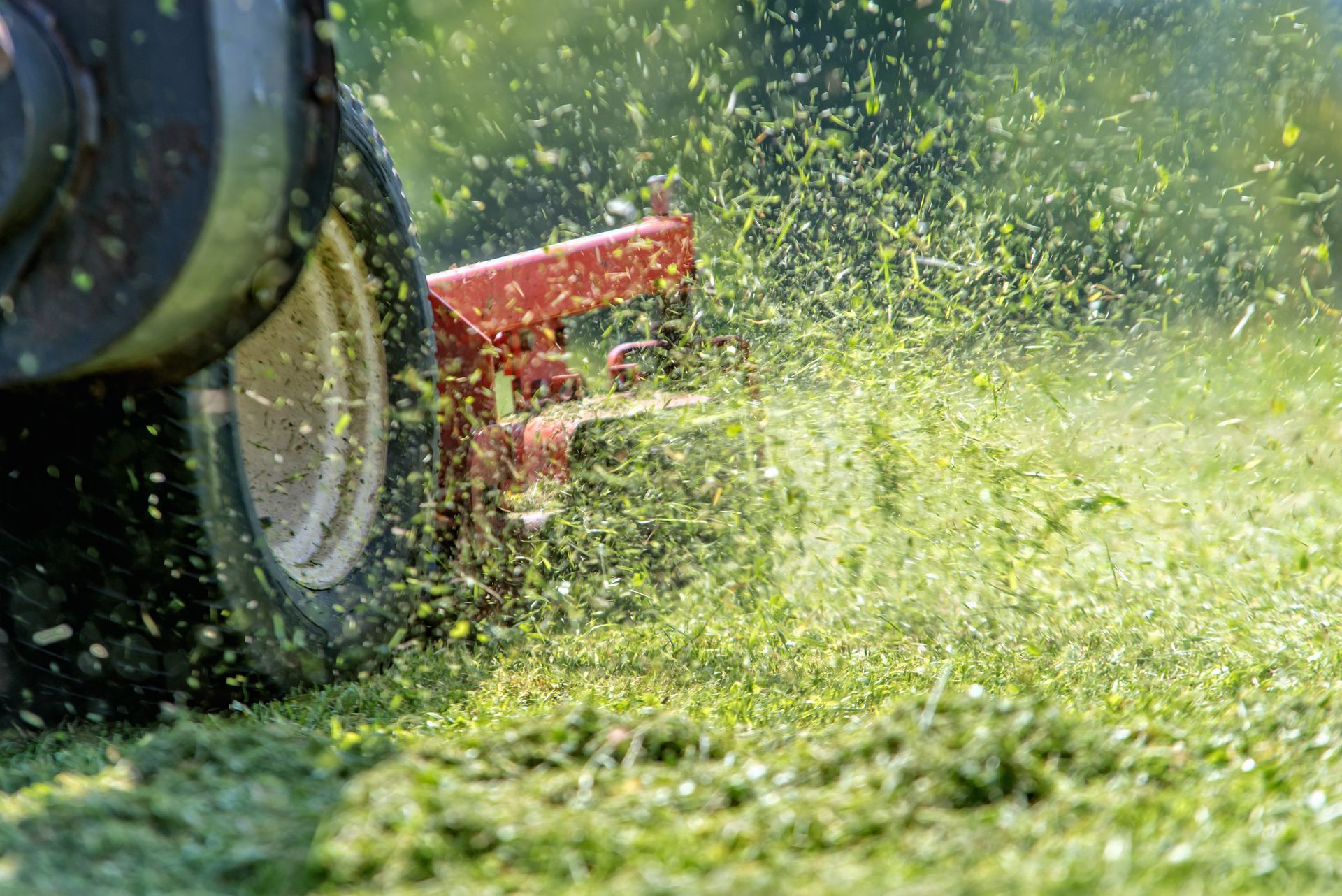 Close-up of a lawn mower blade spraying grass clippings while cutting turf.
