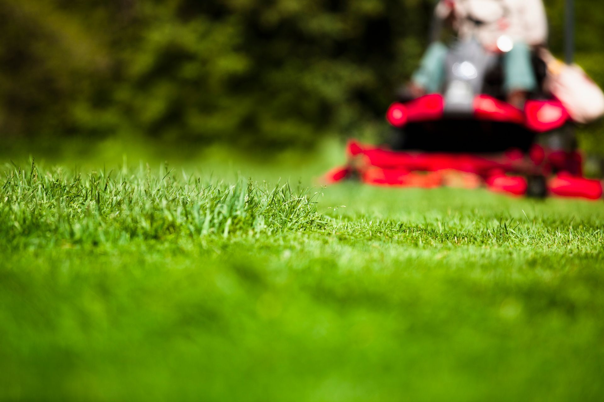 Close-up of green grass with a red lawn mower in the blurred background.