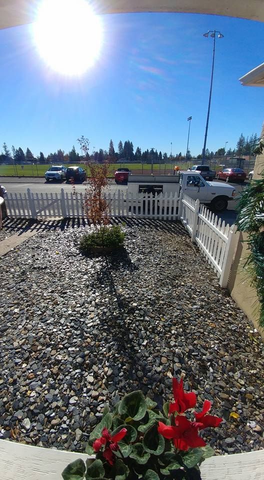 A view of a parking lot from a window with a white picket fence and flowers in the foreground.