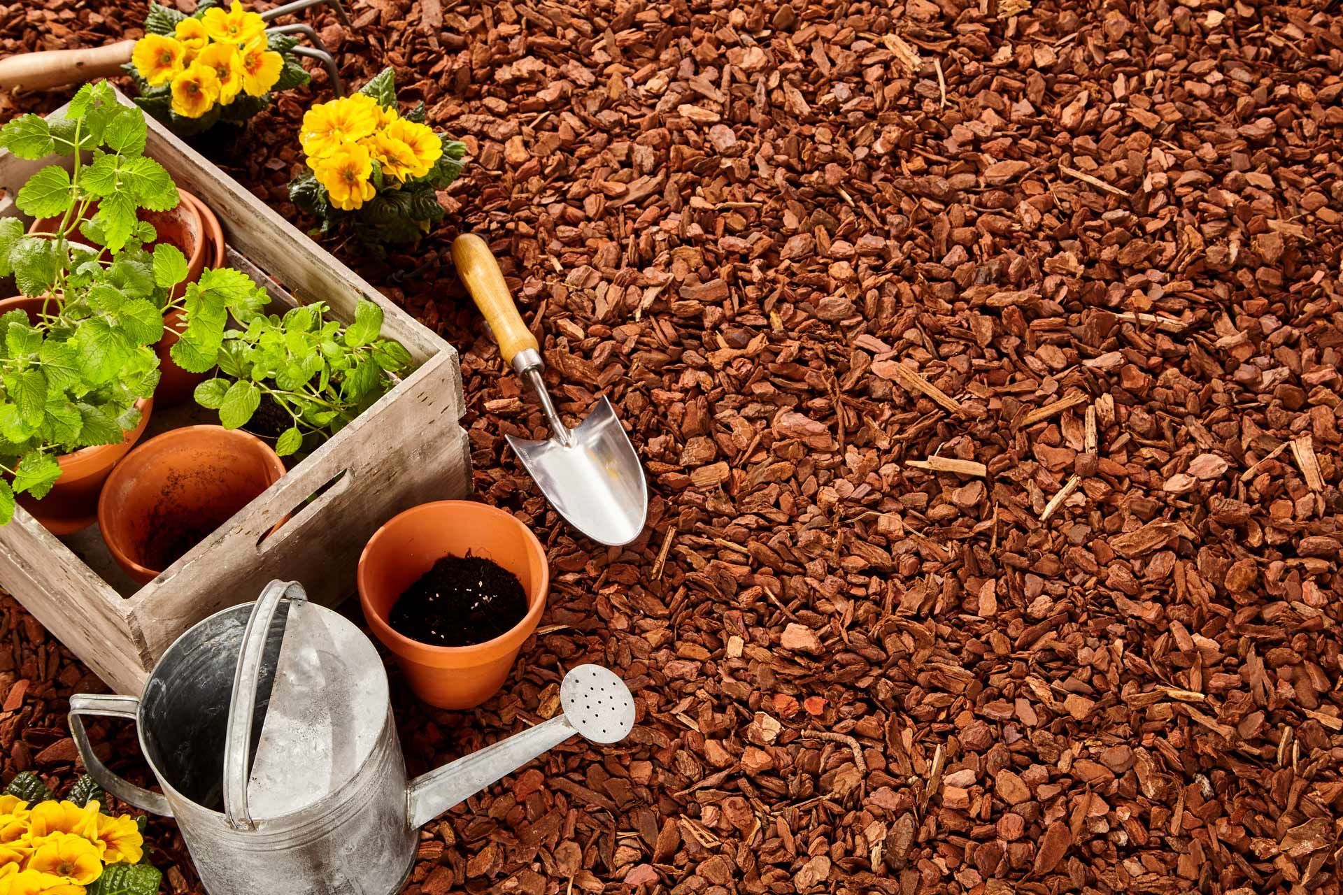 Mulch Installation