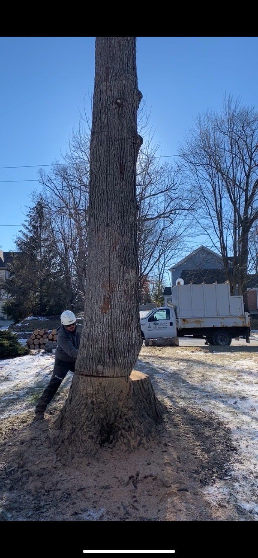 Tree Removal In Cold Weather | Gilberts, IL | Crown Tree Care Inc.