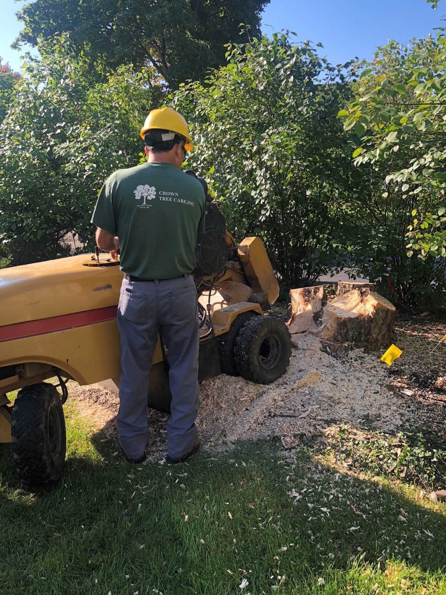 Stump Grinding | Gilberts, IL | Crown Tree Care Inc.