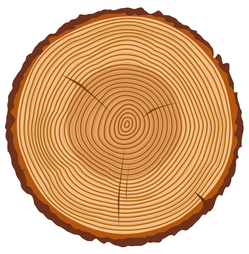 Second Wood | Gilberts, IL | Crown Tree Care Inc.