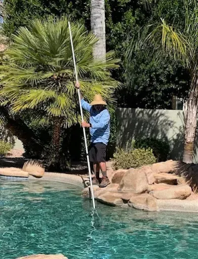 Person using a long pole to clean a pool; standing on rocks with a palm tree in the background.