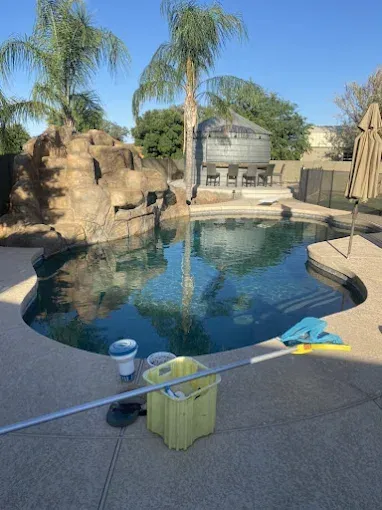 Swimming pool with rock waterfall feature, palm trees, and cleaning supplies on the deck.