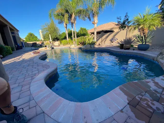 A kidney-shaped swimming pool surrounded by brick pavers, with palm trees and a house in the background.