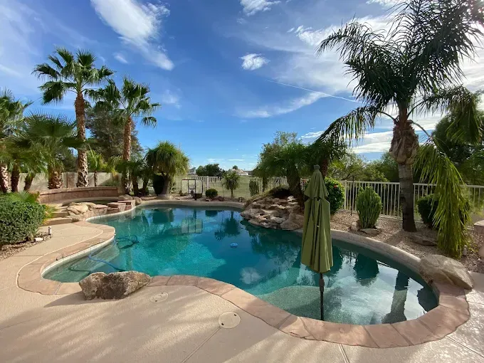 Pool surrounded by landscaping and palm trees under a blue sky.