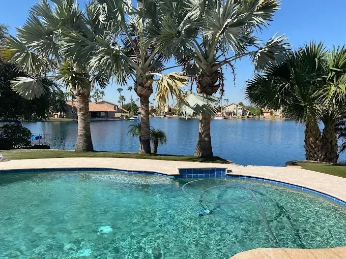 Poolside view with palm trees, a lake, and houses under a clear blue sky.