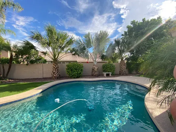 Swimming pool in a backyard with palm trees and a cloudy sky.