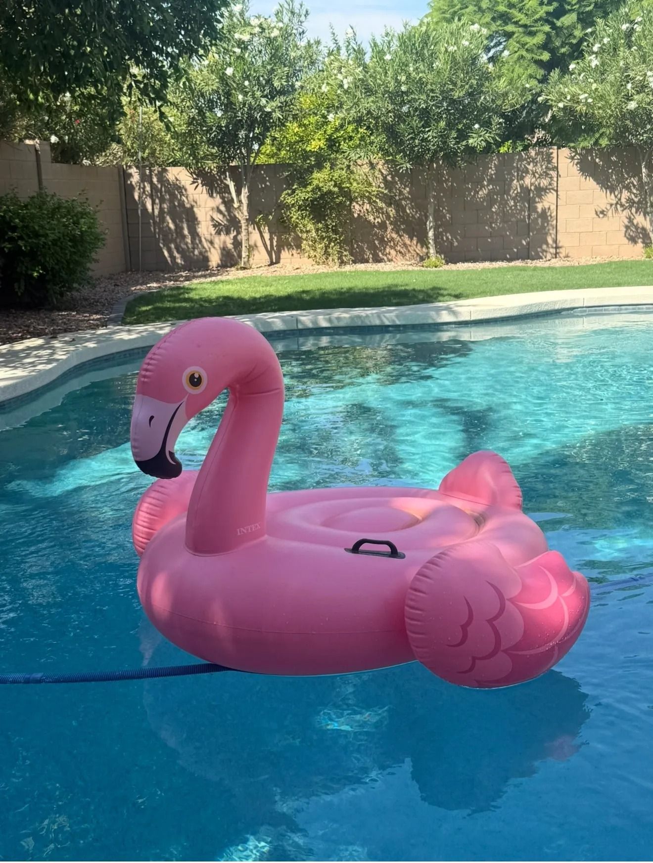 Pink inflatable flamingo float in a blue swimming pool.