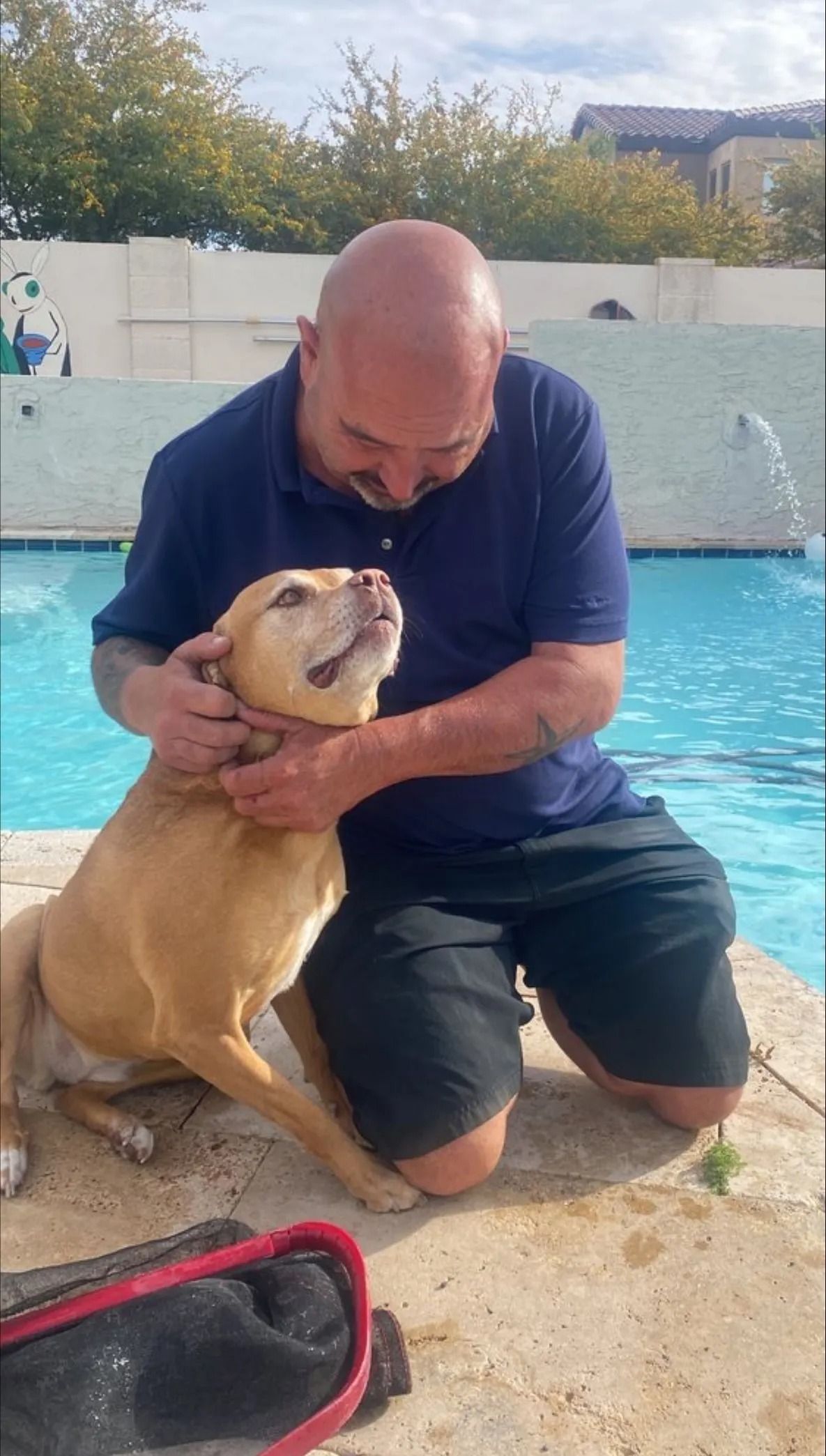 Man kneeling, petting tan dog near a pool. Blue shirt, black shorts. Dog looks up, smiling.