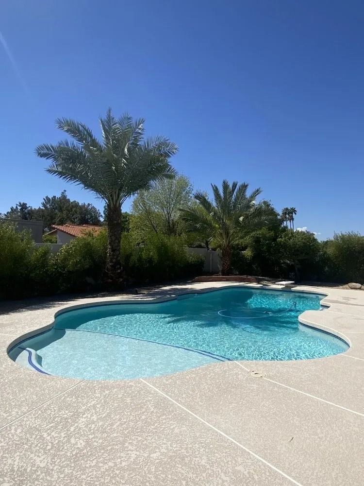 Pool in backyard with palm trees under a blue sky. Concrete patio surrounds the water.