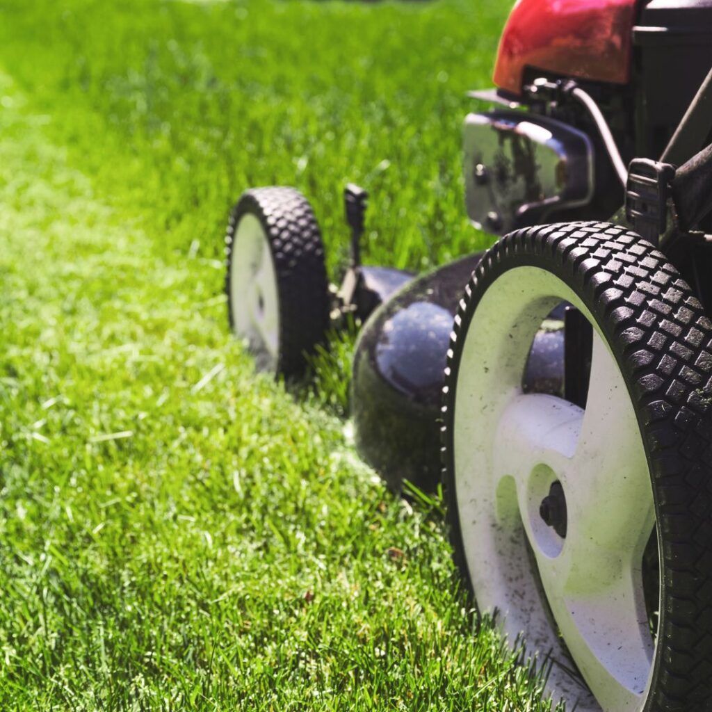 A lawn mower is cutting a lush green lawn