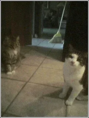 Thomas Story. 4-23-2007