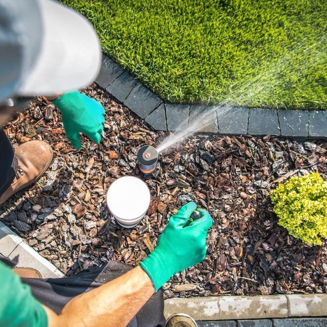 female Gardener adjusts sprinkler in a landscaped area with bark mulch, wearing green gloves and a cap.