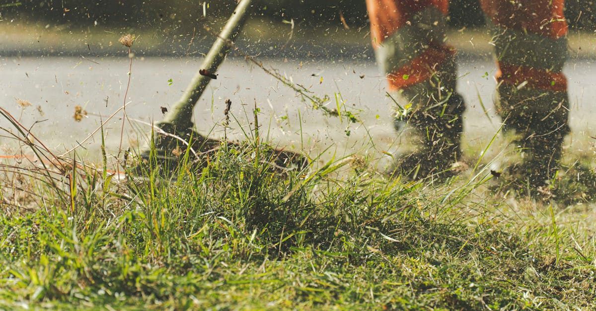 Person trimming grass with a string trimmer, wearing orange safety pants. Grass and debris fly in the air.