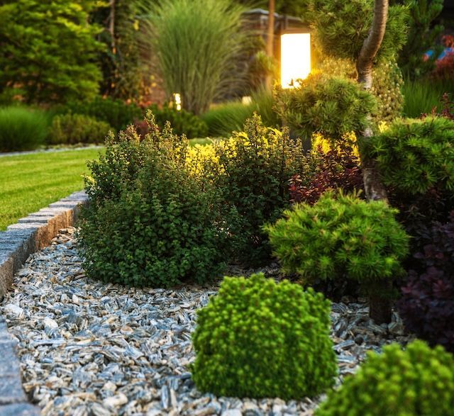 Illuminated garden at dusk with neatly trimmed shrubs, decorative stones, and a glowing lamp in the background.