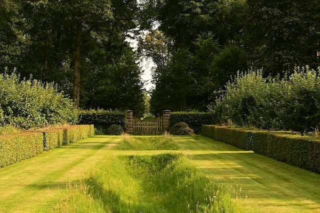 Trimmed hedges and a lush green lawn lead to a wooden gate, surrounded by dense trees under a sunlit sky.