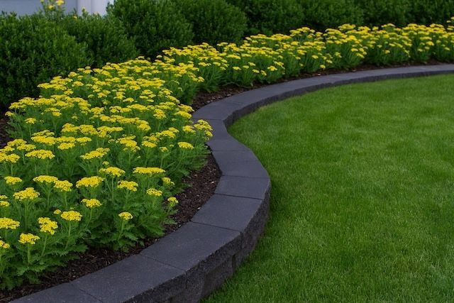 Curved garden bed with vibrant yellow flowers bordered by a stone path, surrounded by lush green grass.