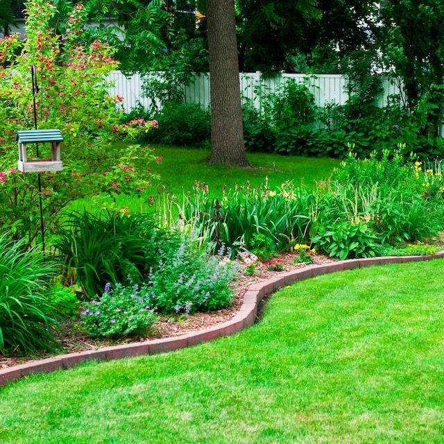 A lush garden with blooming flowers, green shrubs, and a bird feeder next to a tree and white fence.