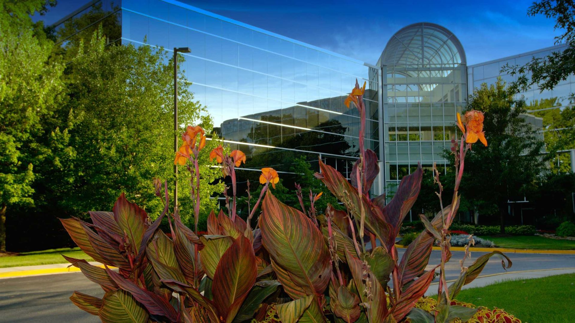 A large building with a lot of windows and flowers in front of it.