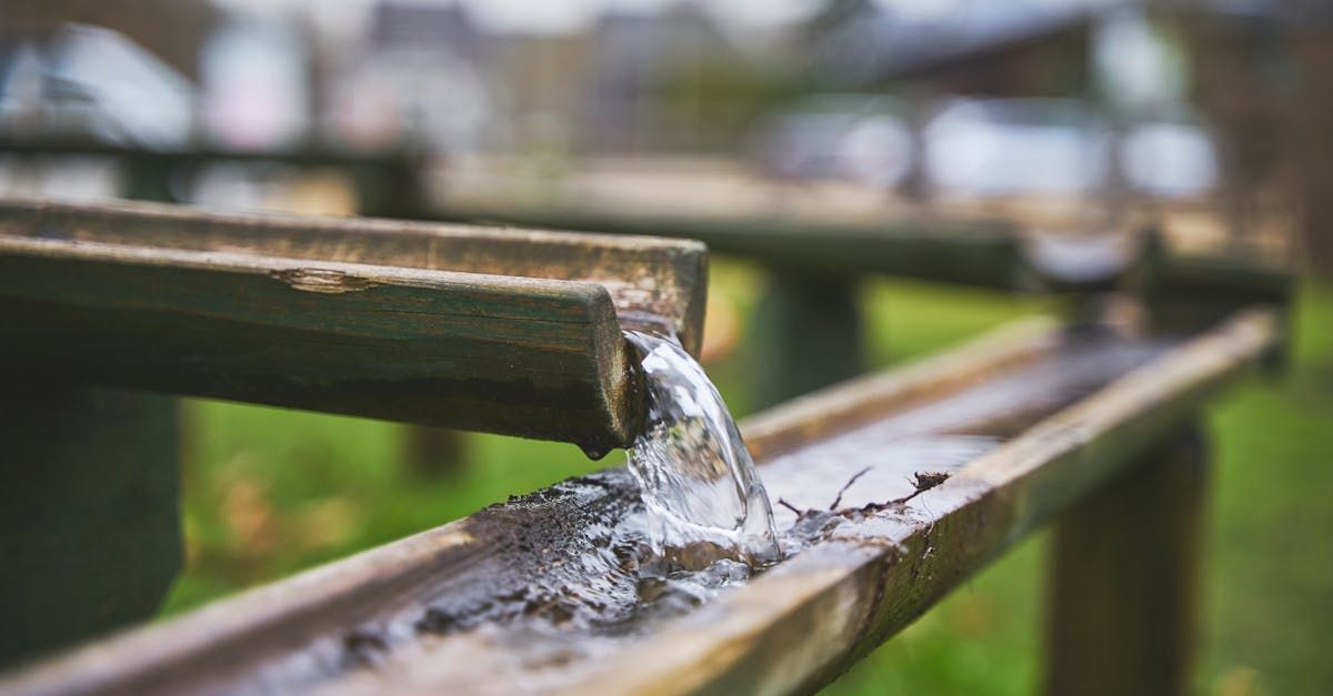 Water flows from a wooden spout into a trough, surrounded by blurred greenery and distant buildings.