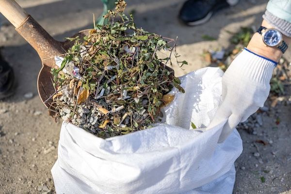 Shovel and gloved hand filling a white sack with garden debris, including leaves and twigs, on a dirt surface.